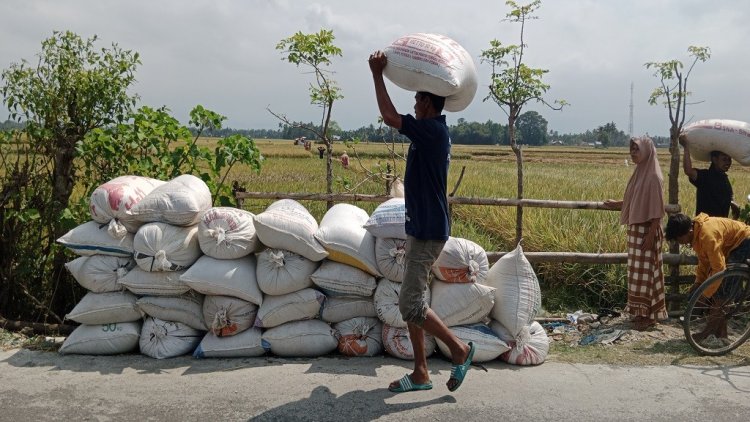 Penghapusan Utang Dinilai Bisa Ringankan Beban Ekonomi Petani dan Nelayan