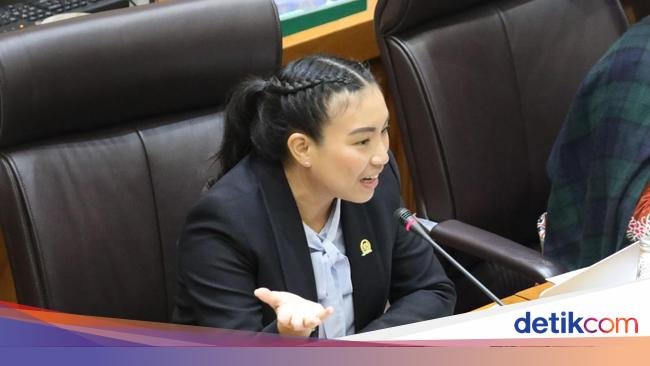 Sara Gerindra Heran PDIP Kini Tolak PPN 12% Padahal Ketua Panja