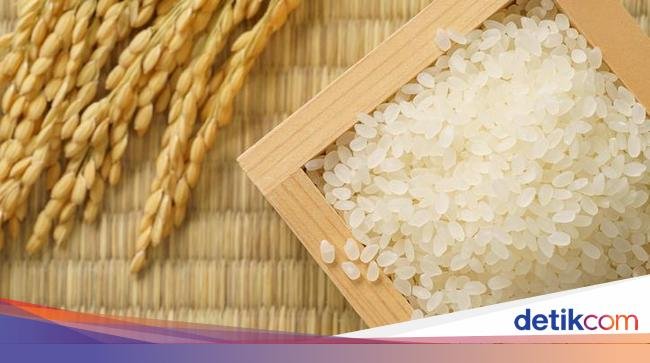 Zulhas Jamin Beras Premium Lokal Bebas PPN 12%, Shirataki yang Kena