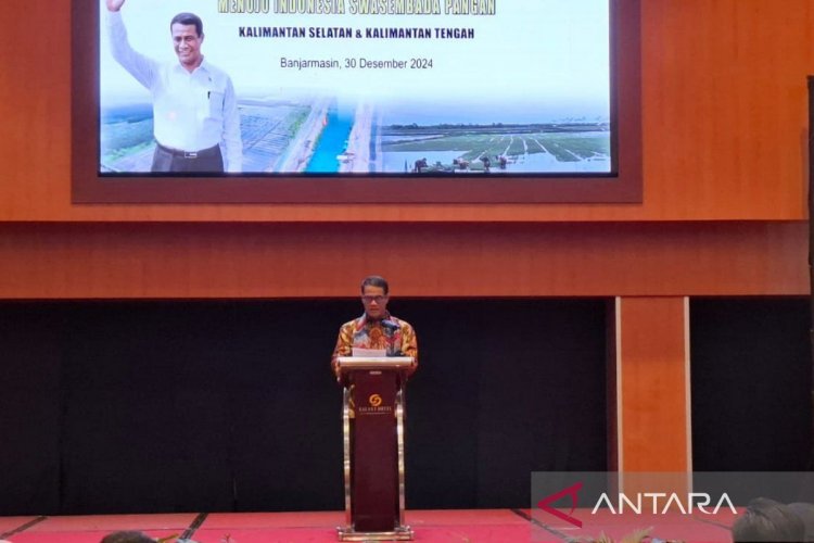 Mentan: Harga gabah dan jagung naik pada 2025