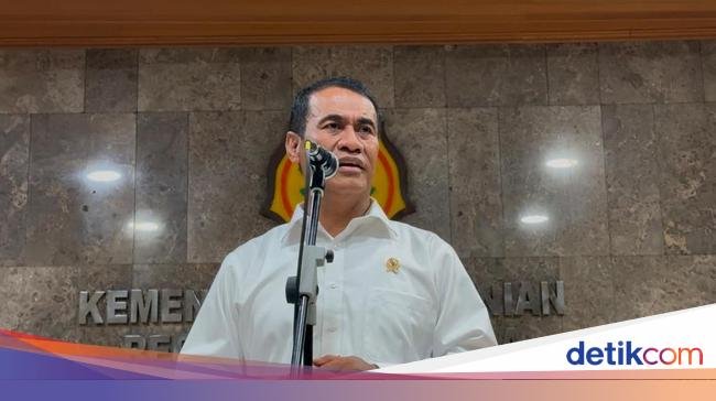 Mentan Sebut Produksi Beras Tembus 30 Juta Ton Tahun Ini