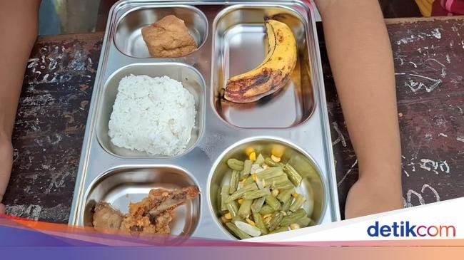 Pakar Nilai Menu Makan Bergizi Gratis: Harusnya Beragam & Seimbang