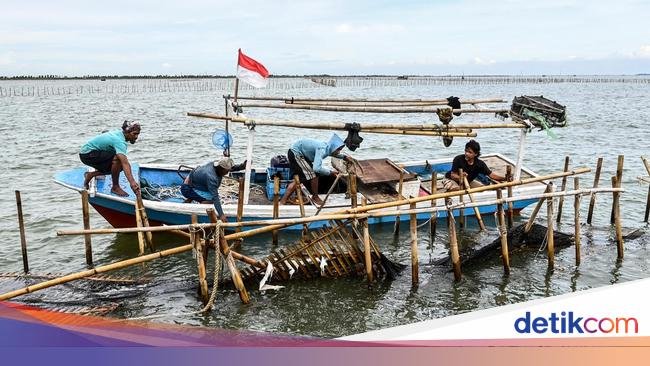 Akhirnya Pagar Misterius 30 Km di Laut Tangerang Dibongkar!