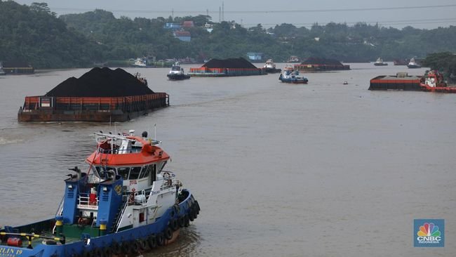 Pasang Surut Harga Batu Bara di Januari, Trump-China Biang Keroknya!