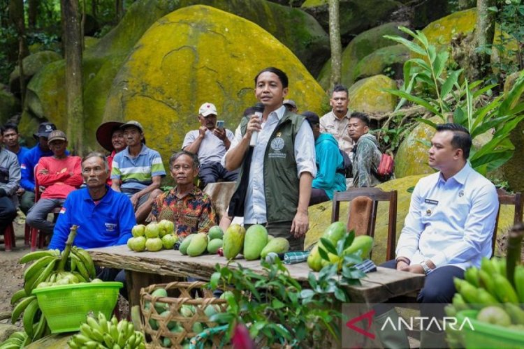 Kemarin, timsus untuk kaji penghambat investasi hingga kinerja APBN