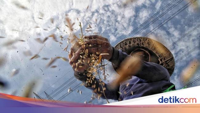 Kopdes Merah Putih Diharapkan Beriringan dengan Koperasi Petani