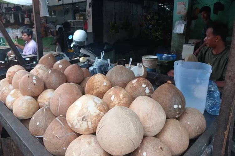 Isu Ekspor Picu Kenaikan Harga Kelapa
