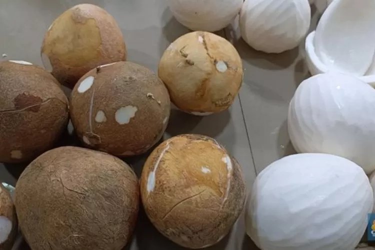 Harga Kelapa Meroket, Ini Penyebab dan Dampaknya bagi Konsumen di Dalam Negeri