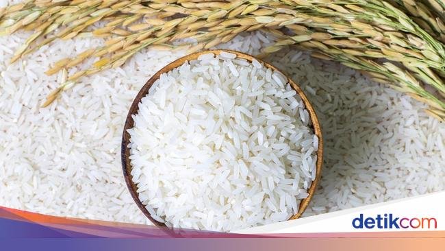 Stok Beras RI Diramal Tembus 4 Juta Ton, Tertinggi Selama Merdeka