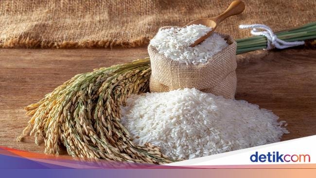 Pemerintah Sebut RI Sudah Swasembada Beras