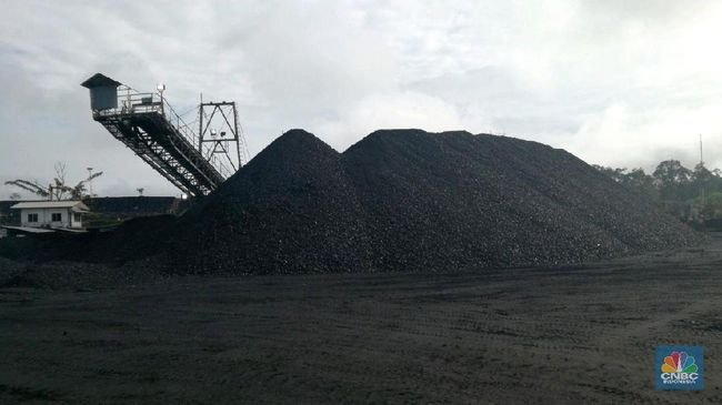Percuma Dibantu Amerika, Harga Batu Bara Masih Merana